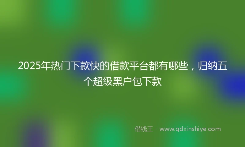 2025年热门下款快的借款平台都有哪些,归纳五个超级黑户包下款