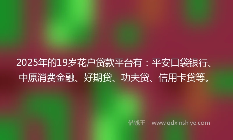 2025年的19岁花户贷款平台有：平安口袋银行、中原消费金融、好期贷、功夫贷、信用卡贷等。