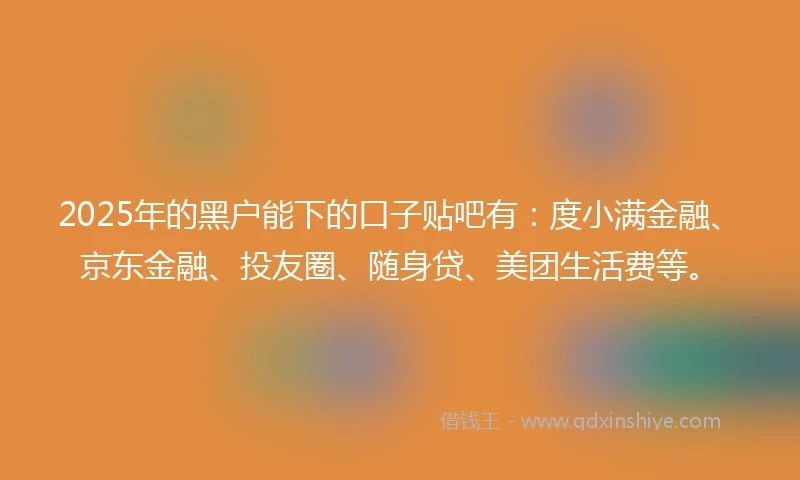 2025年的黑户能下的口子贴吧有：度小满金融、京东金融、投友圈、随身贷、美团生活费等。