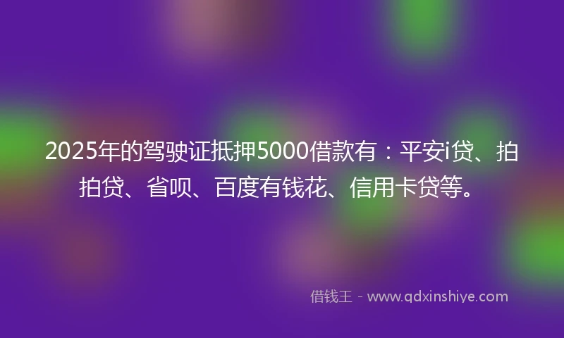 2025年的驾驶证抵押5000借款有:平安i贷、拍拍贷、省呗、百度有钱花、信用卡贷等。