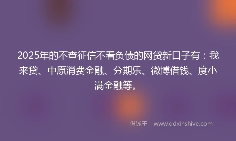 2025年的不查征信不看负债的网贷新口子有：我来贷、中原消费金融、分期乐、微博借钱、度小满金融等。