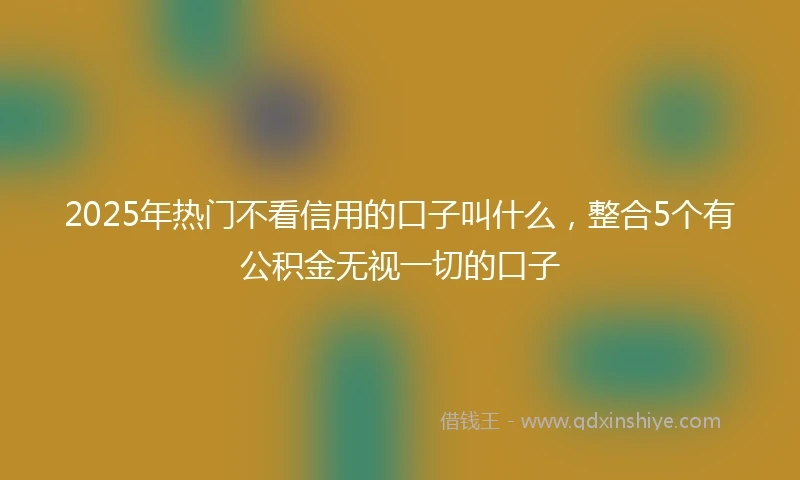 2025年热门不看信用的口子叫什么，整合5个有公积金无视一切的口子