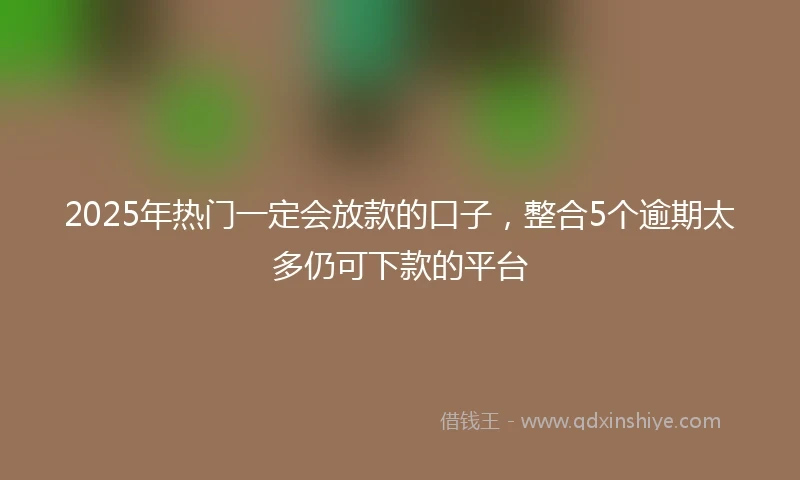 2025年热门一定会放款的口子，整合5个逾期太多仍可下款的平台