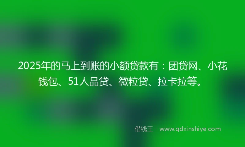 2025年的马上到账的小额贷款有：团贷网、小花钱包、51人品贷、微粒贷、拉卡拉等。