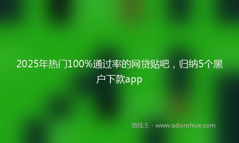 2025年热门100%通过率的网贷贴吧，归纳5个黑户下款app