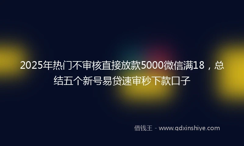 2025年热门不审核直接放款5000微信满18，总结五个新号易贷速审秒下款口子