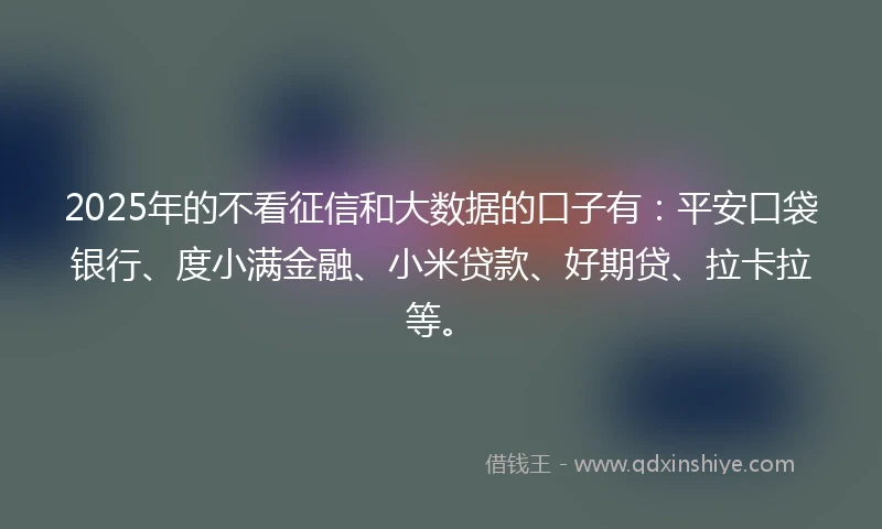 2025年的不看征信和大数据的口子有：平安口袋银行、度小满金融、小米贷款、好期贷、拉卡拉等。