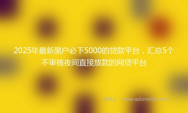 2025年最新黑户必下5000的贷款平台,汇总5个不审核夜间直接放款的网贷平台