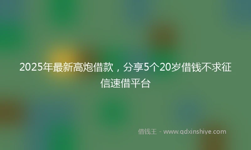 2025年最新高炮借款，分享5个20岁借钱不求征信速借平台