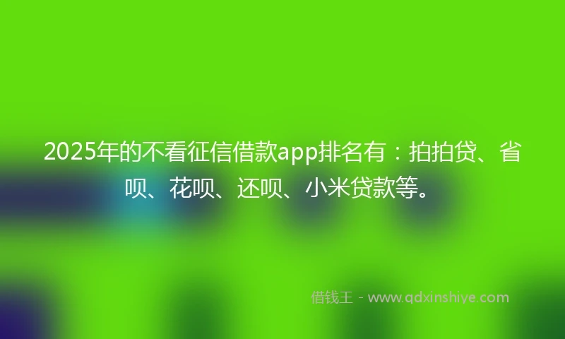 2025年的不看征信借款app排名有：拍拍贷、省呗、花呗、还呗、小米贷款等。
