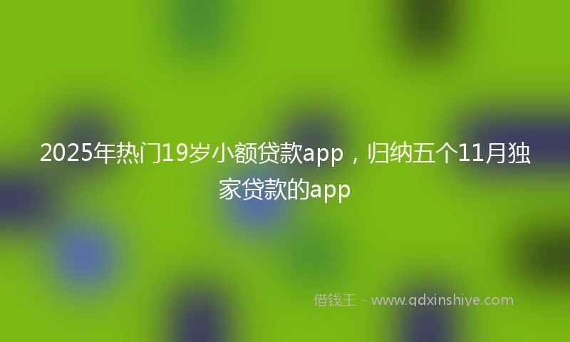 2025年热门19岁小额贷款app，归纳五个11月独家贷款的app
