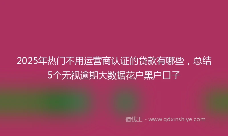 2025年热门不用运营商认证的贷款有哪些，总结5个无视逾期大数据花户黑户口子