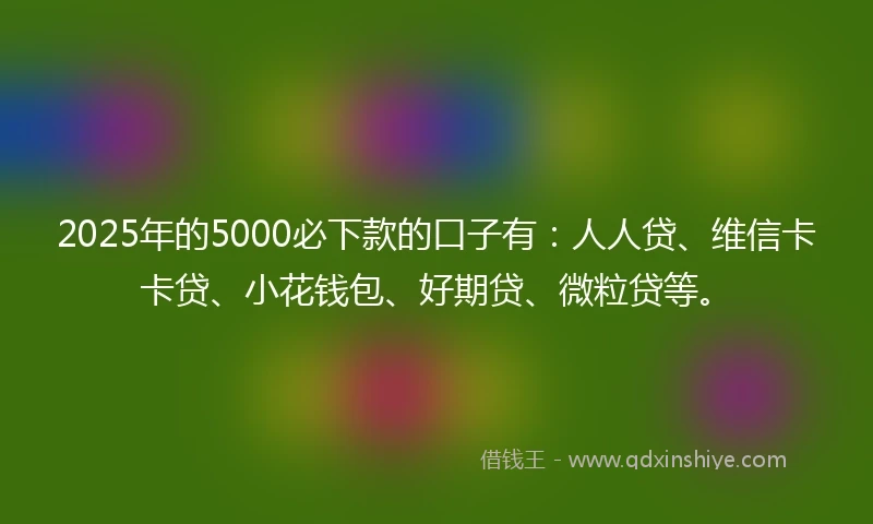 2025年的5000必下款的口子有：人人贷、维信卡卡贷、小花钱包、好期贷、微粒贷等。