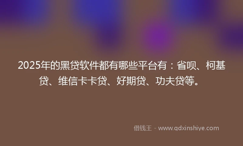 2025年的黑贷软件都有哪些平台有：省呗、柯基贷、维信卡卡贷、好期贷、功夫贷等。