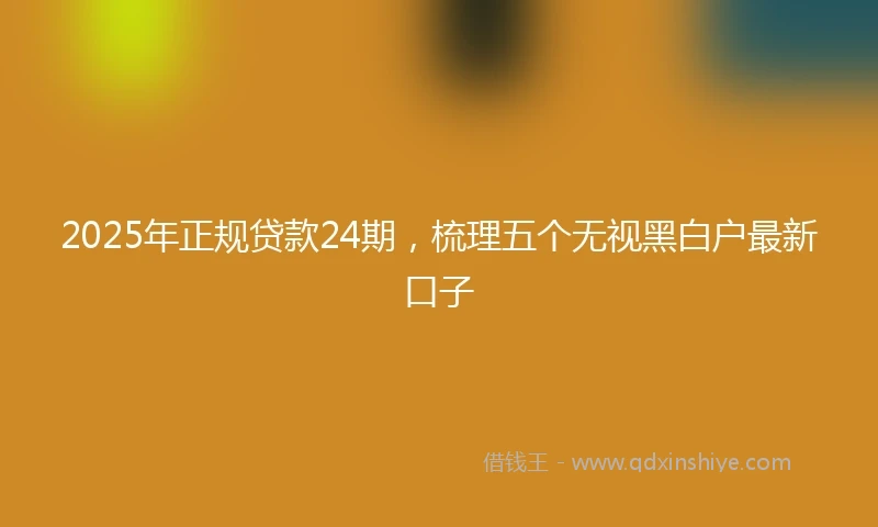 2025年正规贷款24期，梳理五个无视黑白户最新口子