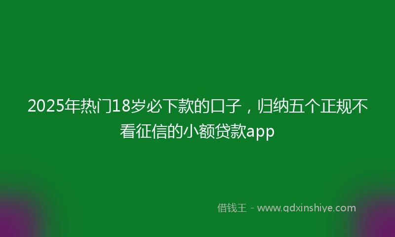 2025年热门18岁必下款的口子，归纳五个正规不看征信的小额贷款app