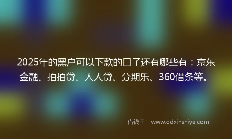 2025年的黑户可以下款的口子还有哪些有：京东金融、拍拍贷、人人贷、分期乐、360借条等。