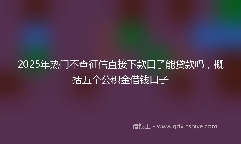 2025年热门不查征信直接下款口子能贷款吗，概括五个公积金借钱口子