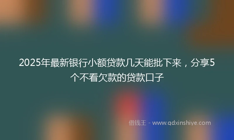 2025年最新银行小额贷款几天能批下来，分享5个不看欠款的贷款口子