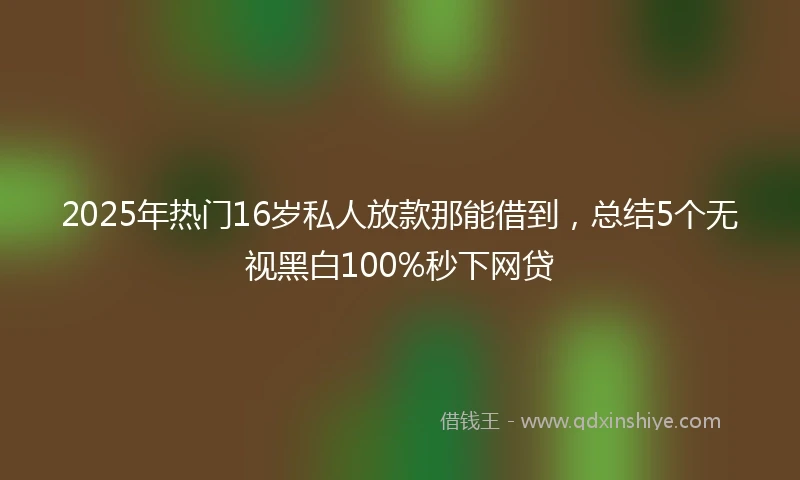 2025年热门16岁私人放款那能借到，总结5个无视黑白100%秒下网贷