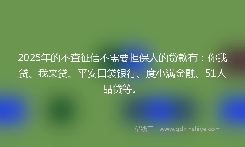 2025年的不查征信不需要担保人的贷款有：你我贷、我来贷、平安口袋银行、度小满金融、51人品贷等。