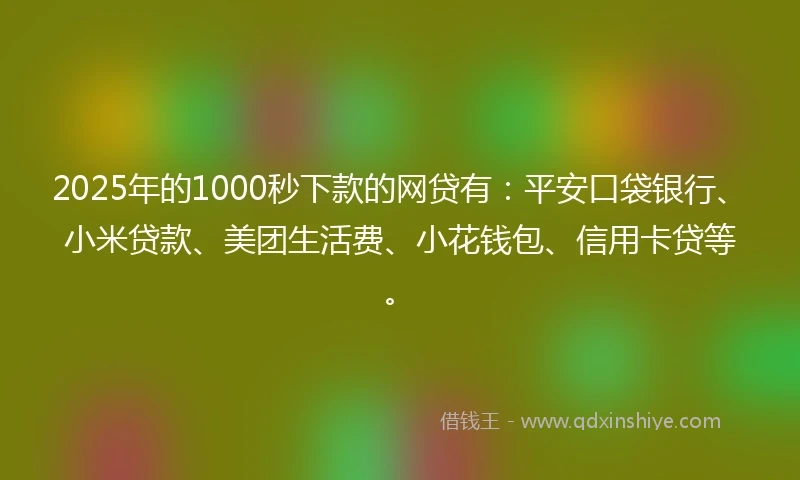2025年的1000秒下款的网贷有：平安口袋银行、小米贷款、美团生活费、小花钱包、信用卡贷等。