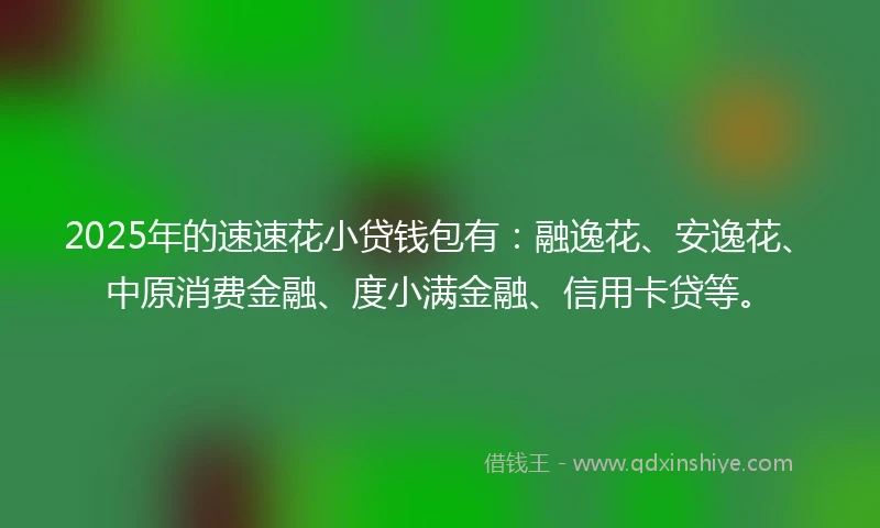 2025年的速速花小贷钱包有：融逸花、安逸花、中原消费金融、度小满金融、信用卡贷等。