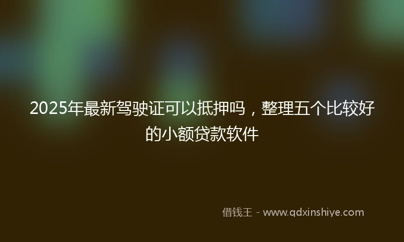 2025年最新驾驶证可以抵押吗，整理五个比较好的小额贷款软件