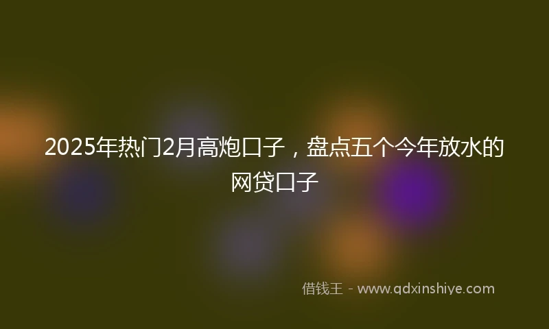 2025年热门2月高炮口子，盘点五个今年放水的网贷口子