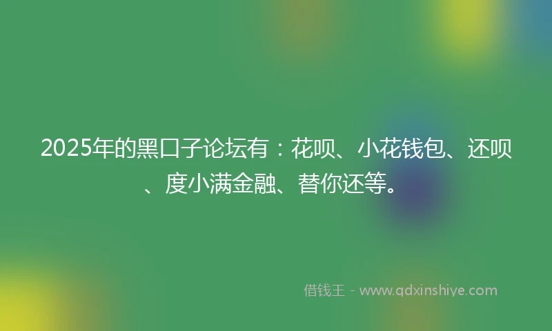 2025年的黑口子论坛有：花呗、小花钱包、还呗、度小满金融、替你还等。
