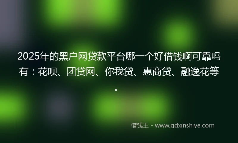 2025年的黑户网贷款平台哪一个好借钱啊可靠吗有：花呗、团贷网、你我贷、惠商贷、融逸花等。