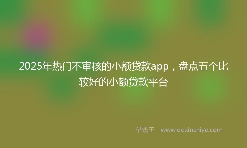 2025年热门不审核的小额贷款app，盘点五个比较好的小额贷款平台