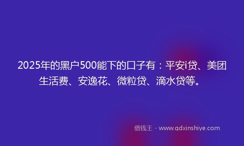 2025年的黑户500能下的口子有：平安i贷、美团生活费、安逸花、微粒贷、滴水贷等。