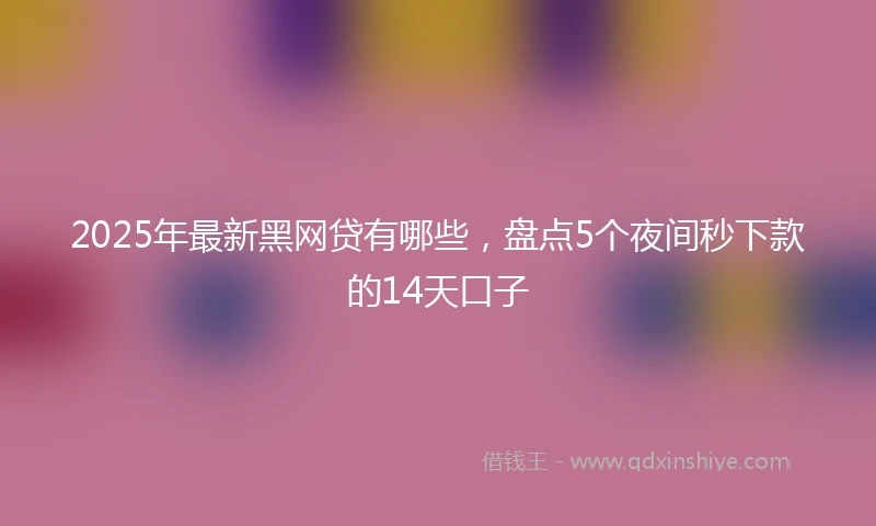 2025年最新黑网贷有哪些，盘点5个夜间秒下款的14天口子