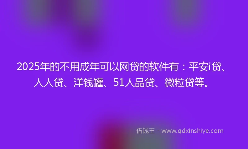 2025年的不用成年可以网贷的软件有：平安i贷、人人贷、洋钱罐、51人品贷、微粒贷等。