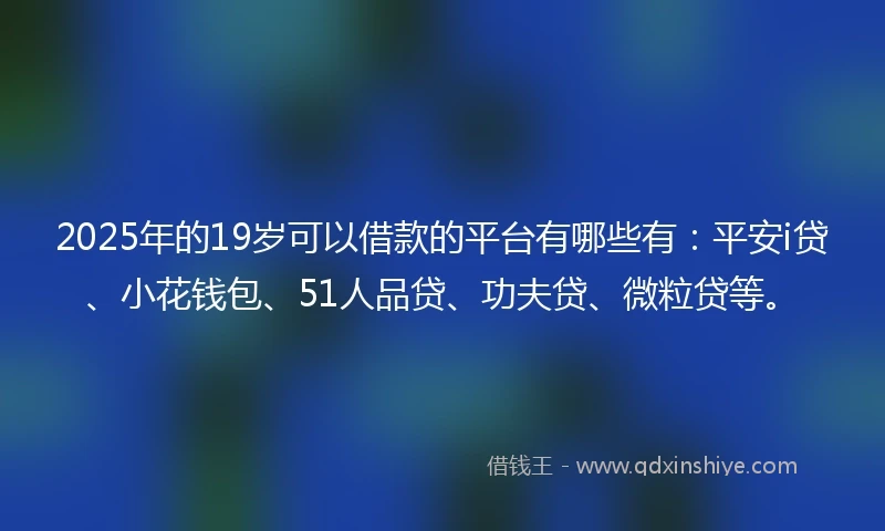 2025年的19岁可以借款的平台有哪些有：平安i贷、小花钱包、51人品贷、功夫贷、微粒贷等。