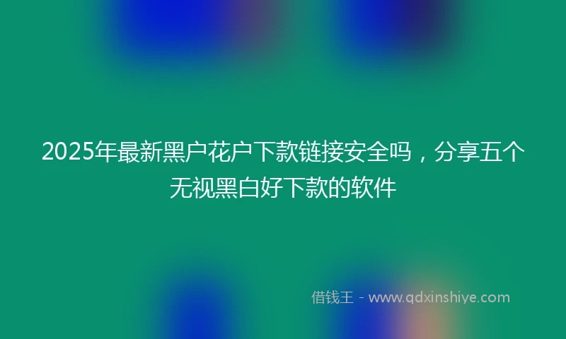 2025年最新黑户花户下款链接安全吗，分享五个无视黑白好下款的软件