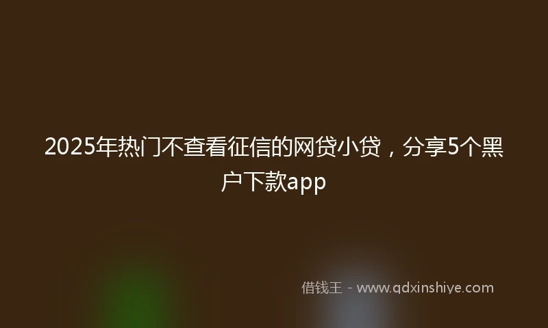 2025年热门不查看征信的网贷小贷,分享5个黑户下款app