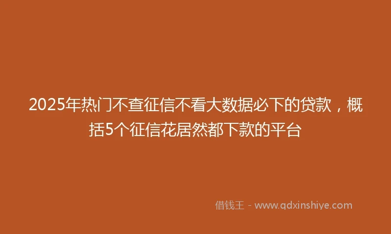 2025年热门不查征信不看大数据必下的贷款，概括5个征信花居然都下款的平台
