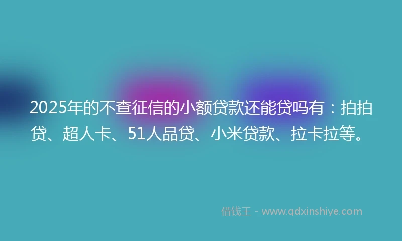 2025年的不查征信的小额贷款还能贷吗有：拍拍贷、超人卡、51人品贷、小米贷款、拉卡拉等。
