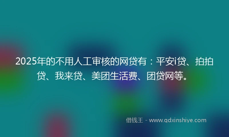 2025年的不用人工审核的网贷有：平安i贷、拍拍贷、我来贷、美团生活费、团贷网等。