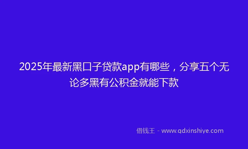 2025年最新黑口子贷款app有哪些，分享五个无论多黑有公积金就能下款
