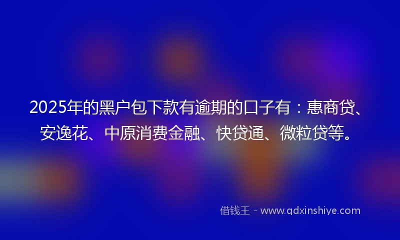 2025年的黑户包下款有逾期的口子有：惠商贷、安逸花、中原消费金融、快贷通、微粒贷等。