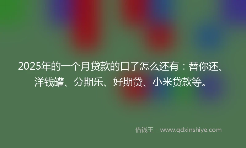 2025年的一个月贷款的口子怎么还有：替你还、洋钱罐、分期乐、好期贷、小米贷款等。