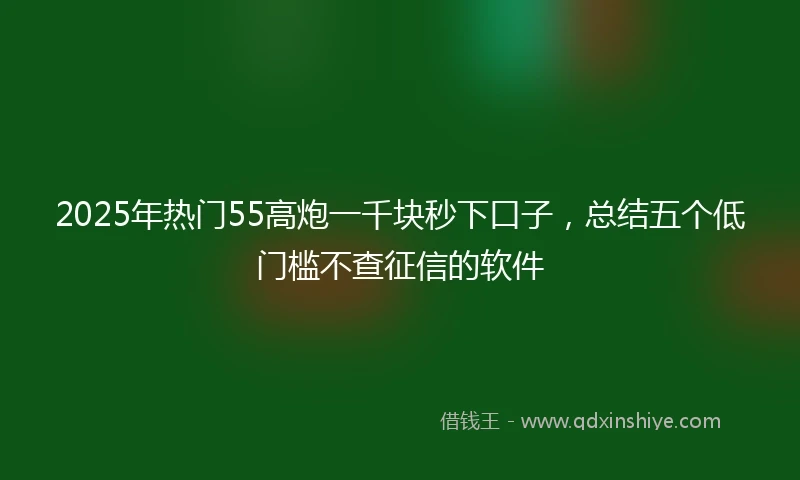 2025年热门55高炮一千块秒下口子，总结五个低门槛不查征信的软件