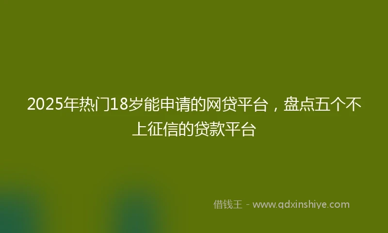 2025年热门18岁能申请的网贷平台，盘点五个不上征信的贷款平台