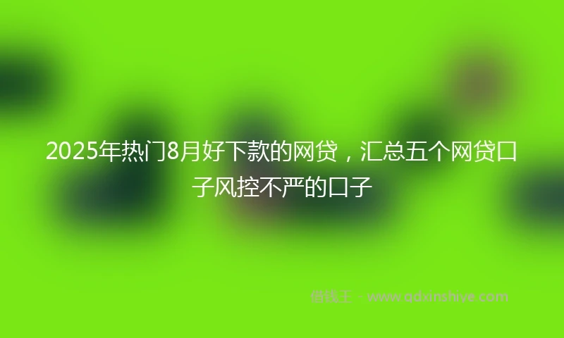2025年热门8月好下款的网贷，汇总五个网贷口子风控不严的口子