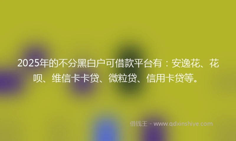 2025年的不分黑白户可借款平台有：安逸花、花呗、维信卡卡贷、微粒贷、信用卡贷等。