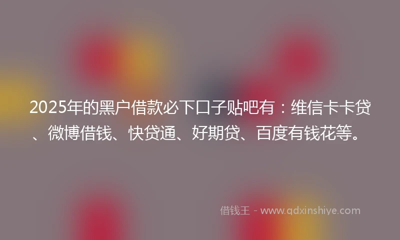 2025年的黑户借款必下口子贴吧有：维信卡卡贷、微博借钱、快贷通、好期贷、百度有钱花等。