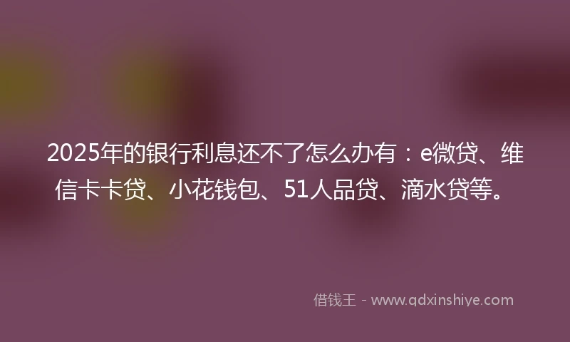 2025年的银行利息还不了怎么办有：e微贷、维信卡卡贷、小花钱包、51人品贷、滴水贷等。